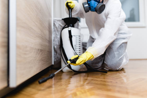 Best Pest Removal Services  in Lutcher, LA