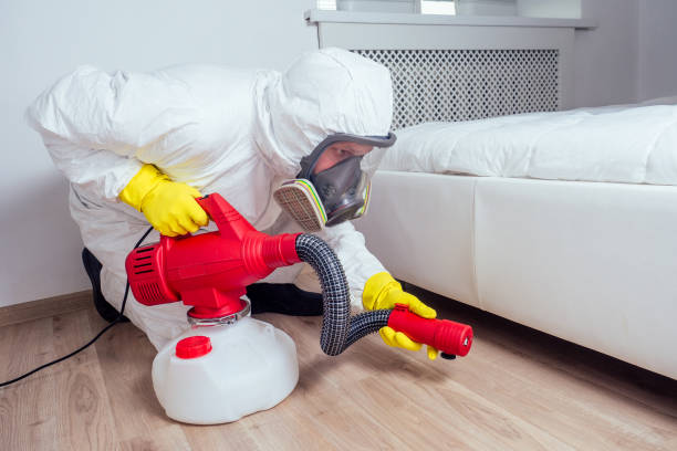 Best Flea Control Services  in Lutcher, LA
